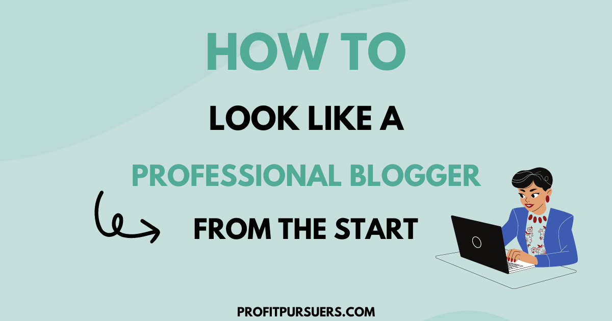 This image displays the post's title being how to look like a professional blogger from the start.